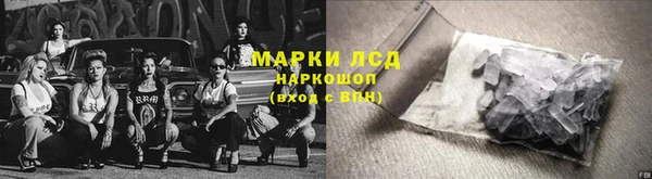 эйфоретик Новокубанск