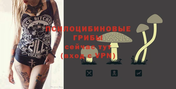 эйфоретик Новокубанск