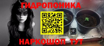 ECSTASY Балаково