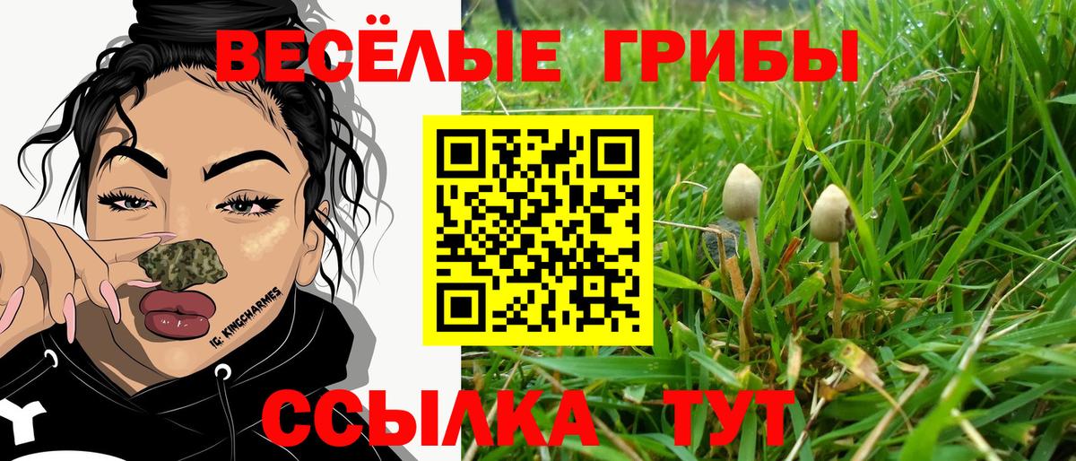 Борзя  Галлюциногенные грибы мухоморы  Псилоцибиновые грибы Psilocybe  Вход с VPN 