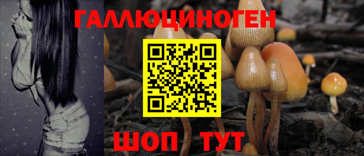 Галлюциногенные грибы GOLDEN TEACHER Борзя